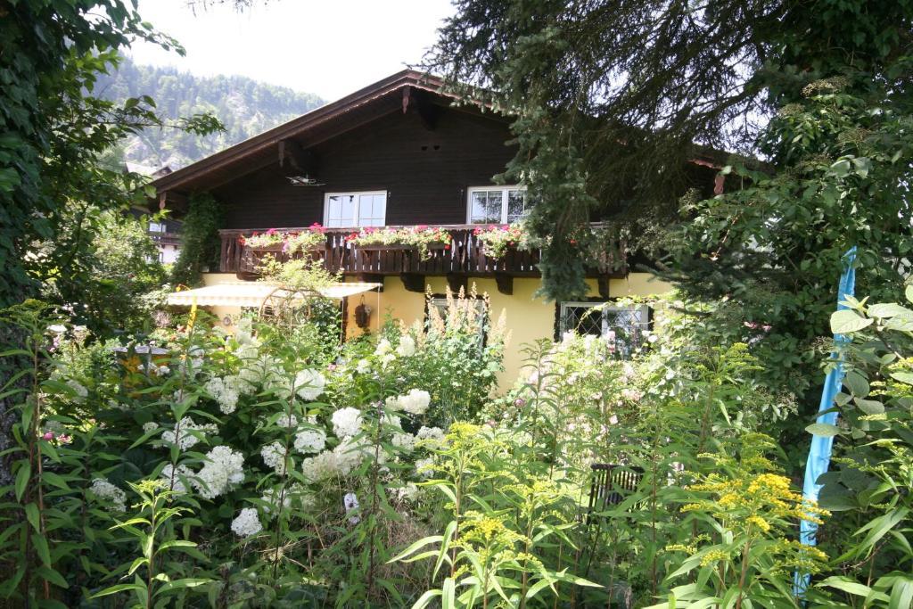 Appartement Am Schilift ซังคท์กิลเกอ ภายนอก รูปภาพ
